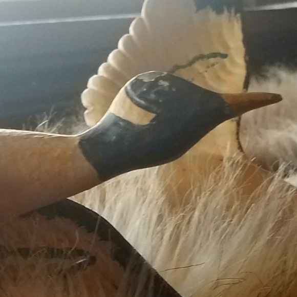 Antique Pair of Flying Canadian Geese.Hand painted Metal - Picture 2 of 7